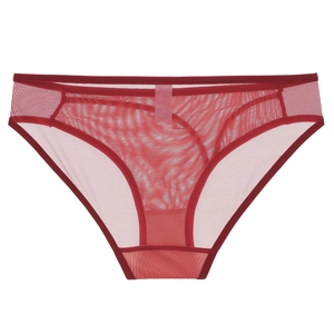 Sexy burgundy sheer mesh brief for women with breathable low waist design