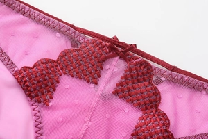 Detail of pink lace panties with burgundy heart embroidery and a small satin bow