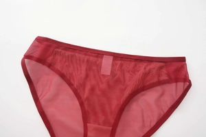 Detail of breathable dark red mesh fabric and seamless stitching on women's briefs