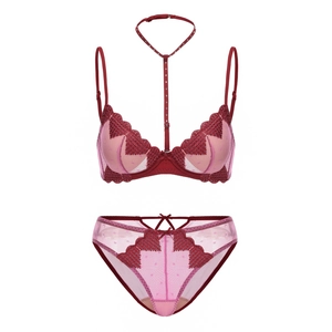 Detailed flat lay of red lace and pink mesh lingerie set with collar halter neck design