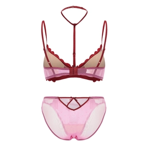 Detail of sheer mesh lingerie set with heart cutout and delicate lace embroidery
