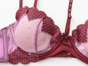 Detail of wine red lace bra with heart embroidery and sparkling rhinestone straps