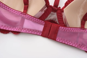 Macro shot of red lace mesh bra with heart embroidery and reinforced stitching details