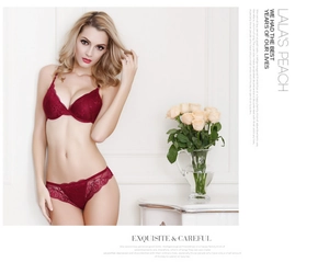 Detail of dark red lace lingerie set featuring deep V push-up bra and matching panties