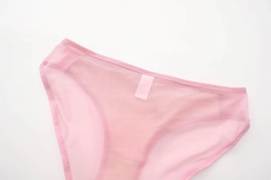 Detail of pink semi-transparent mesh underwear with breathable cotton lining and soft seams