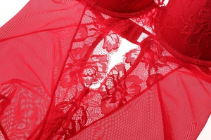 Detailed macro view of red floral lace embroidery and sheer mesh on the bodysuit