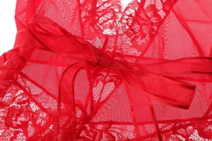Close-up of red floral lace lingerie with elegant satin ribbon bow and sheer texture