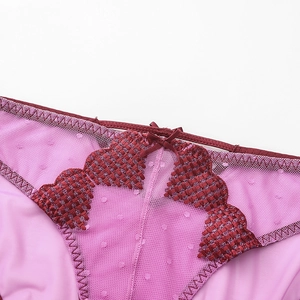 Sexy French mesh lace panties with red bow detail and heart embroidery texture