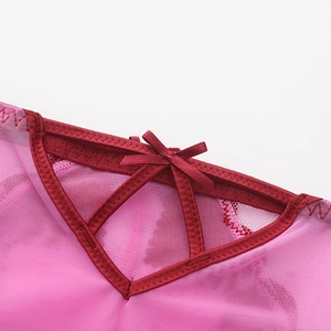 Pink sheer mesh panty with burgundy satin bow and V-shaped cutout detail in French style