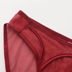 Red sheer mesh women's low-rise panties with breathable fabric and seamless stitching
