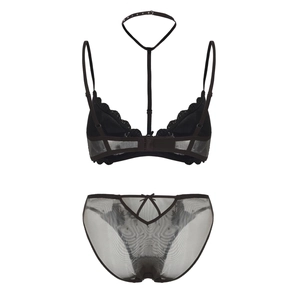 Detail of black mesh lingerie set featuring halter neck bra with lace trim and bow underwear