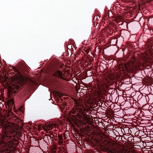 Ensemble soutien-gorge demi-bonnet bordeaux en dentelle avec nœud en soie et tulle