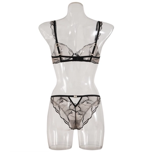 Detail view of lace lingerie set showing back V-cutout panty and embroidery