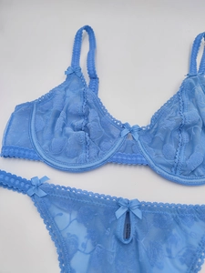 Detail of light blue sheer lace lingerie set with floral embroidery and bow accents
