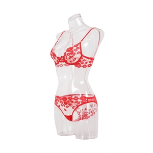 Détails de lingerie en résille rouge avec broderies lèvres sur tissu transparent
