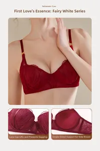 Détails de lingerie en dentelle rouge avec broderie plume et bonnets à armatures
