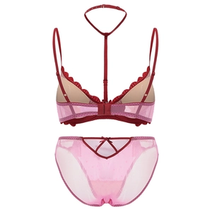 French style red and pink mesh lingerie set with heart embroidery and halter neck design