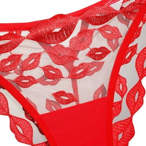 Dettaglio di slip in pizzo rosso con tessuto a rete trasparente e ricami a forma di labbra