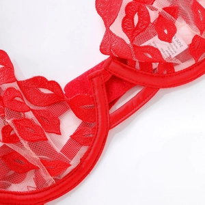 Détail de lingerie en maille transparente avec broderie de lèvres rouges et dentelle