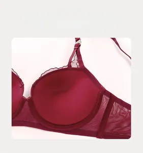 Détail de soutien-gorge en dentelle rouge avec mesh transparent et bretelles fines