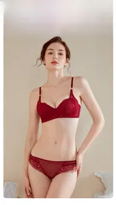 Vue de face d'un ensemble de lingerie en dentelle bordeaux avec broderies et détails en tulle