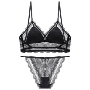Sexy French Style Lace Lingerie Wireless Triangle Cup Bralette Deep V Backless Beautiful Back Bra And Panty Top And Bottom