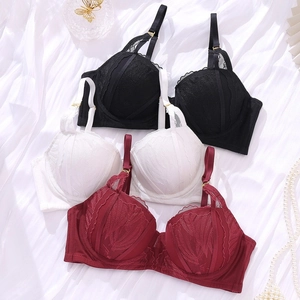 Ensemble soutien-gorge en dentelle noir blanc et bordeaux avec motifs plumes brodés
