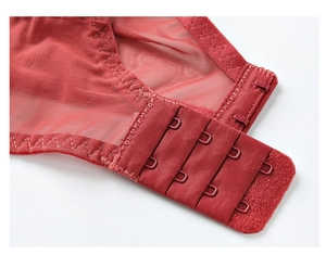 Macro detail of three-row four-hook closure on red lace bra with mesh fabric