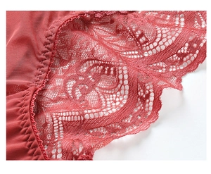 Close-up of fine lace and breathable mesh on a brick red French style bra set
