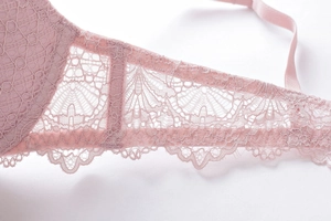 Detailed macro view of pale pink lace side wings with intricate floral texture and mesh