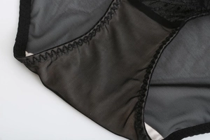 Detailed view of the sheer black mesh and wavy lace embroidery on these women's panties