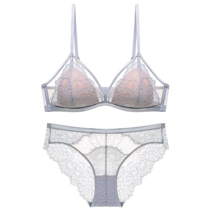 Elegante lavendel kant lingerie set met zachte triangel beha en bijpassend broekje
