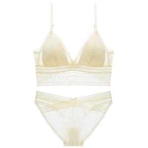 Elegant French lace lingerie set with wireless triangle cup bra and matching panties
