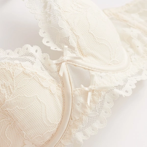 Soutien-gorge push-up en dentelle avec broderie florale délicate et armature de soutien