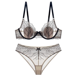 Lace embroidery bra set with mesh wings and floral detail in beige and black