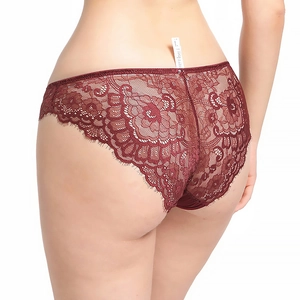 Detailed back view of wine red lace bikini panties with eyelash embroidery trim