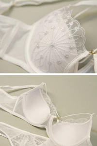 Macro shot of white mesh lace bra with intricate silver embroidery and gold hardware