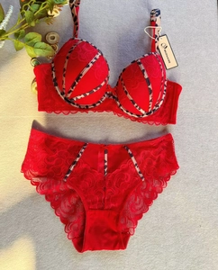 Set lingerie in pizzo rosso con bordo leopardato e reggiseno push-up modellante