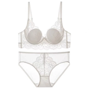 White French lace lingerie set with rabbit ear cups and matching mesh underwear