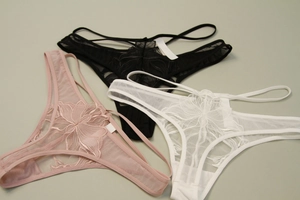 Detailed embroidery and sheer mesh texture on three-color lace thong underwear set