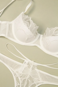 Detailed embroidery and sheer lace texture on a white French style bra and panty set