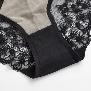 French style sexy low waist lace panties for women featuring breathable mesh fabric