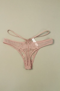 Détail de la broderie en dentelle mauve et du tissu en maille transparente sur le slip
