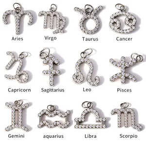 Micro-pave silver zodiac charms set in 4x3 grid for DIY jewelry making