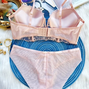 Close-up of pink lace mesh lingerie set with floral embroidery on soft plush background