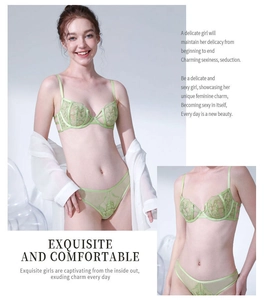 Close-up of light green floral embroidery on sheer mesh lingerie with fine straps