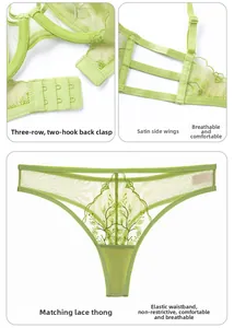 Detail view of fruit green lace lingerie set with triple row hooks and T-back panty