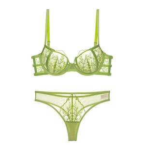 Sexy Lace Embroidered Lingerie Set For Women Ultra-Thin Sheer Mesh Bra and Thong Set Minimizer Push Up Underwear Top And Bottom