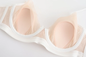Close-up of sheer mesh lace bra with underwire support and delicate floral embroidery