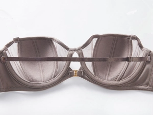 Detail of taupe mesh bra featuring gold front closure and adjustable straps
